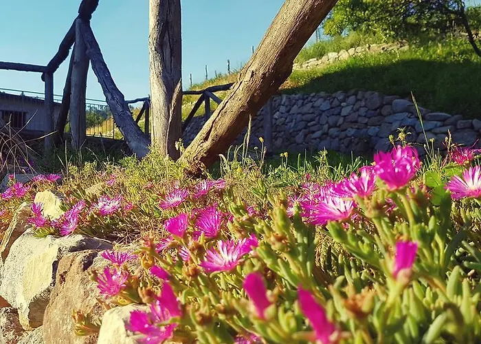 ファームステイ La Peschiera Sul Vara Sesta Godano